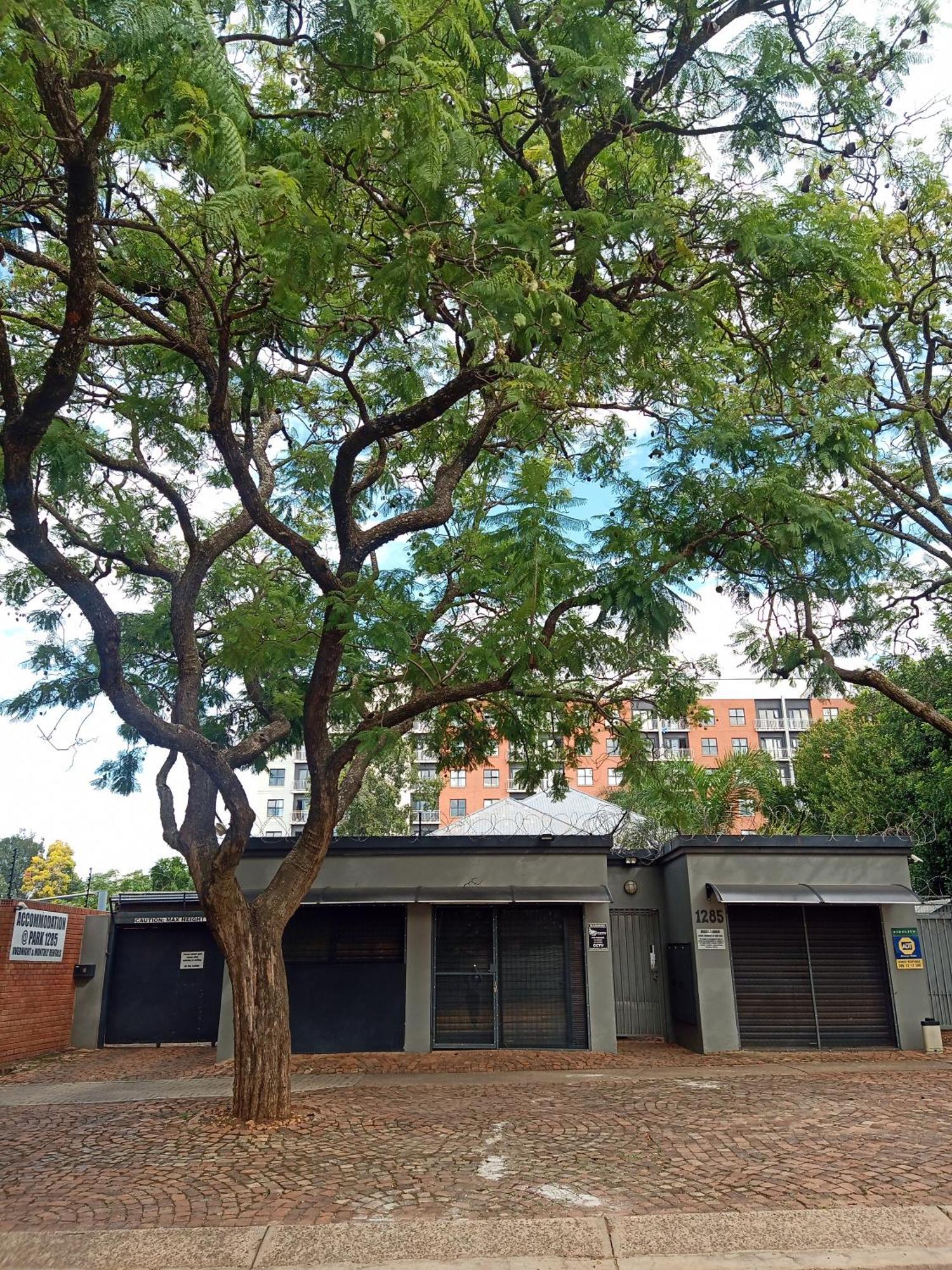 Accommodation@Park1285 Pretoria-Noord Eksteriør bilde